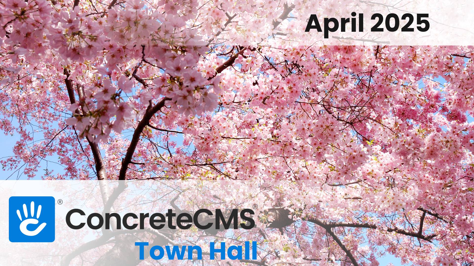Concrete CMS April 2025 Monthly Roundup