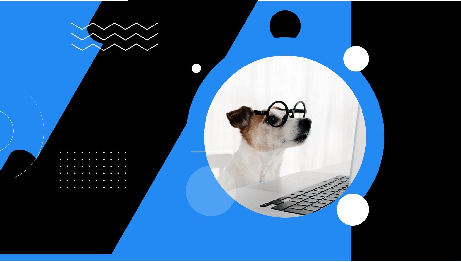 How to Automatically Update the Copyright Year in Concrete CMS