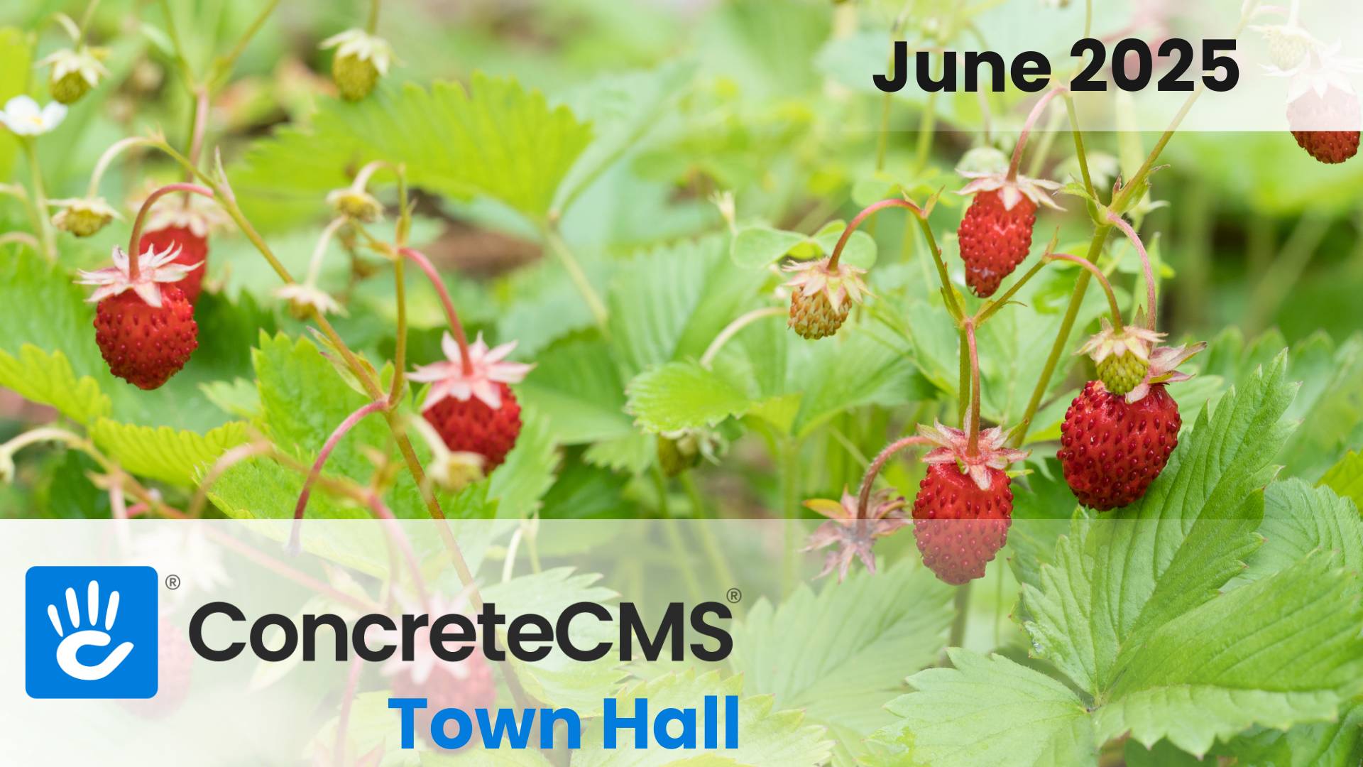 June 2025 Monthly Round-Up