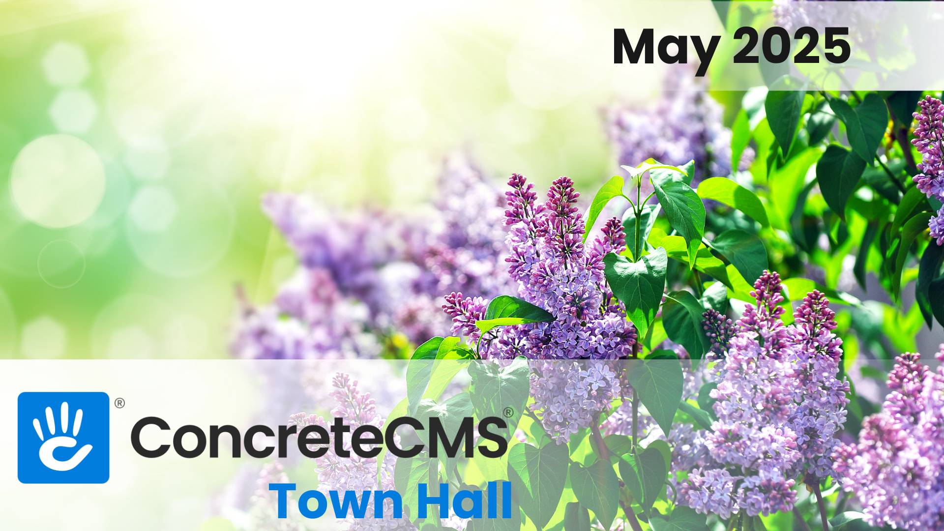 May 2025 Monthly Round-Up