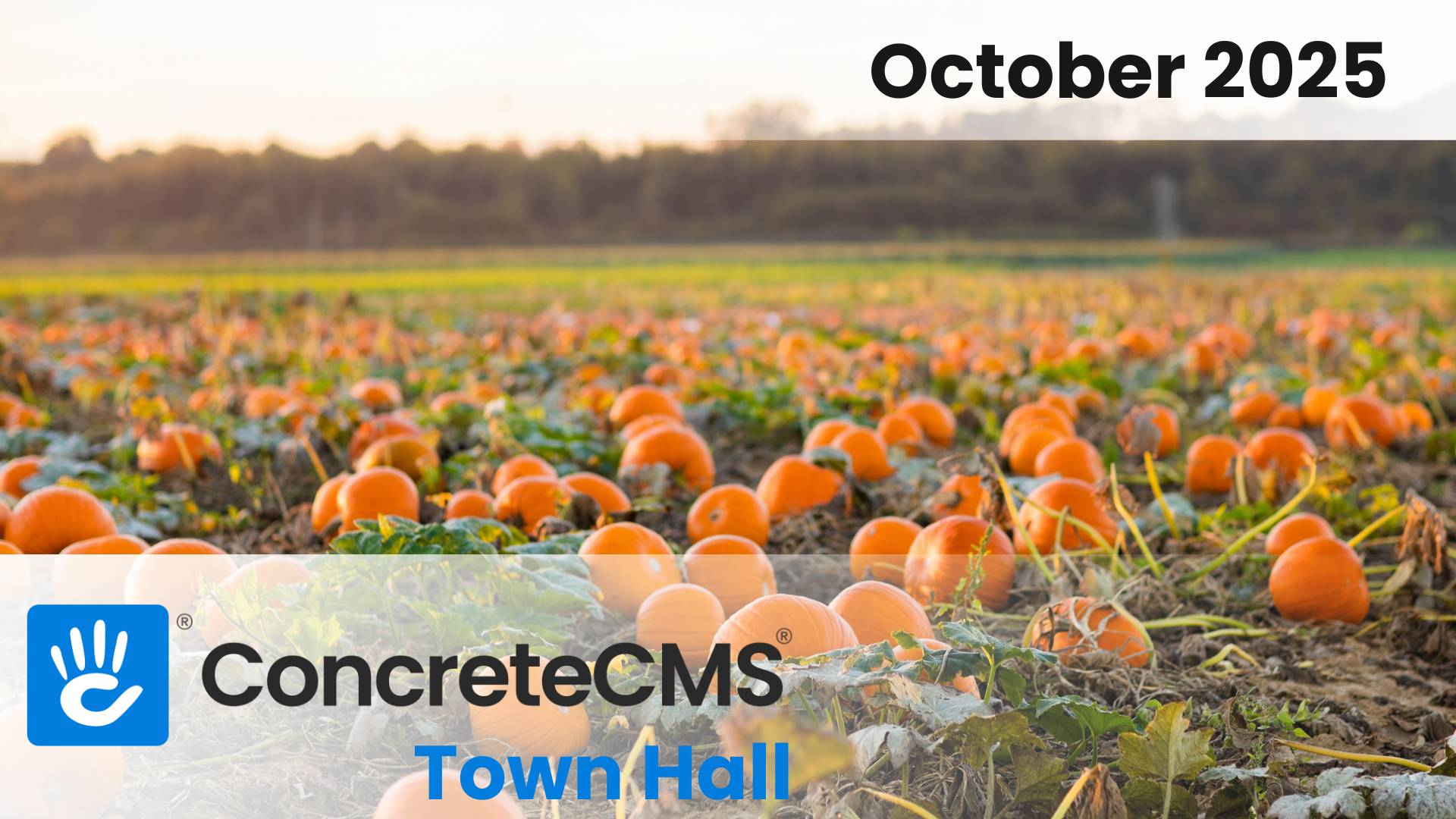 October 2025 Monthly Roundup