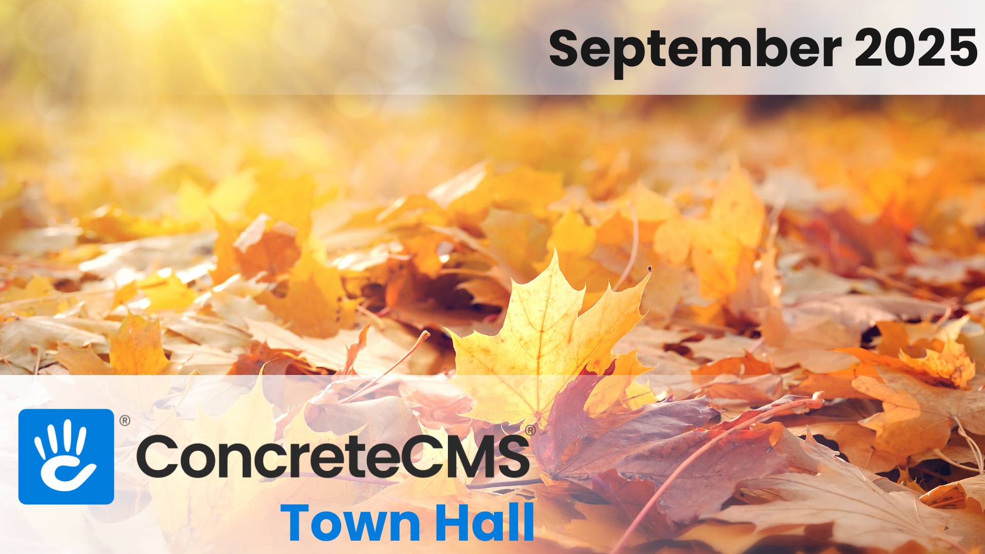 Concrete CMS Monthly Roundup: September 2025